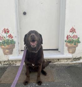 Sophie